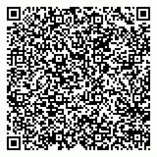 vCard 79030240331