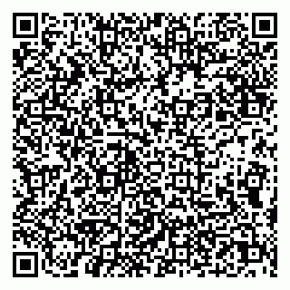 vCard 79030330039