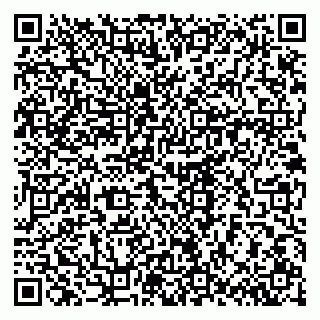 vCard 79030510199