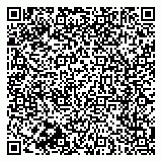 vCard 79030510200