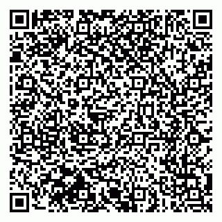 vCard 79030510217