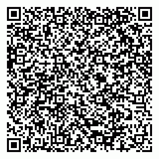 vCard 79030510219