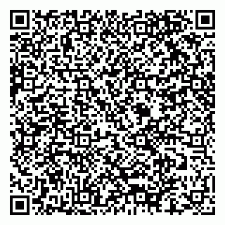 vCard 79030510281