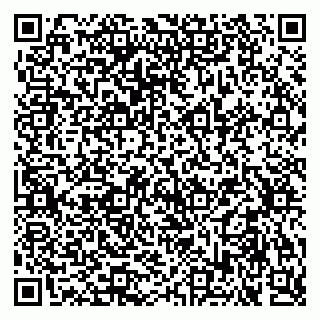 vCard 79030510290