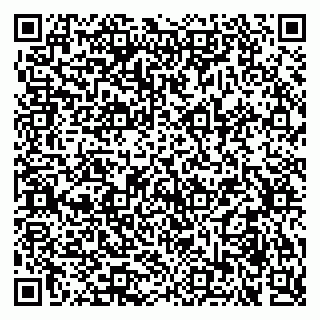vCard 79030510313