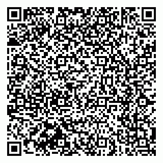 vCard 79030510317