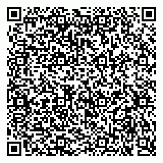 vCard 79030510330