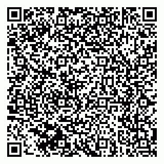 vCard 79030510331