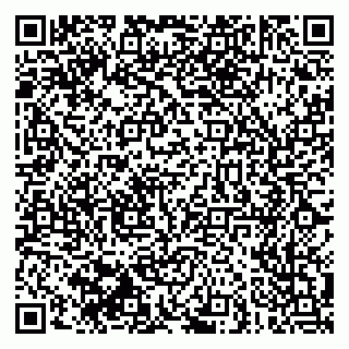 vCard 79030510374