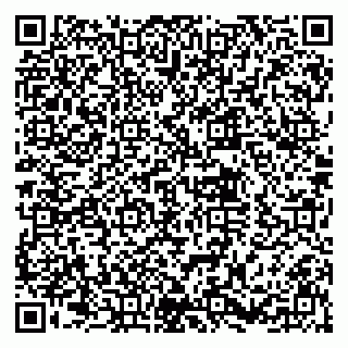vCard 79030770239