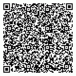 vCard 79030770313