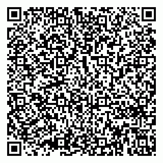 vCard 79030770317