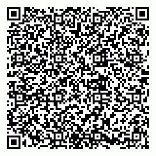 vCard 79030770320