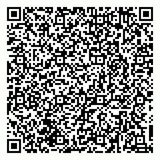vCard 79030770331