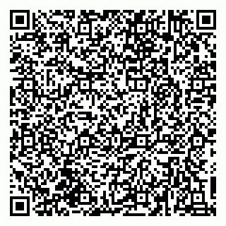 vCard 79030770333