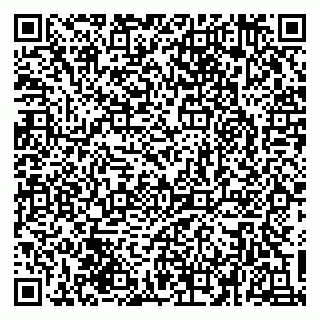 vCard 79030770371