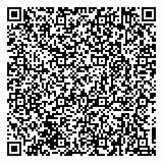 vCard 79030770373
