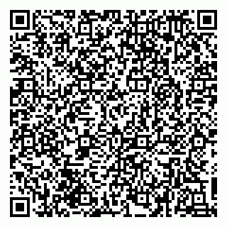 vCard 79030770378