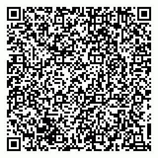 vCard 79030770381