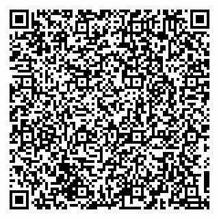 vCard 79030770387