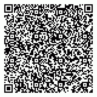 vCard 79031000215