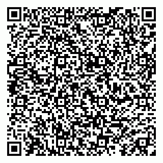 vCard 79031003730