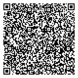 vCard 79031999602