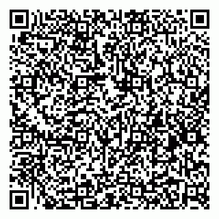vCard 79031999731