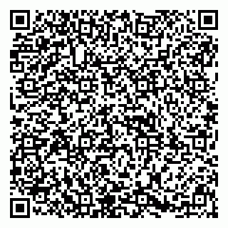 vCard 79031999760