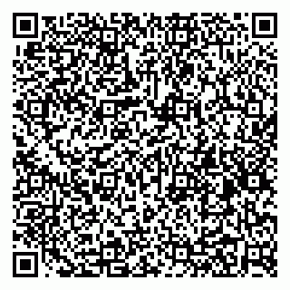 vCard 79031999772