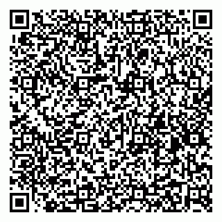 vCard 79031999774