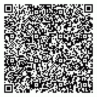 vCard 79031999803