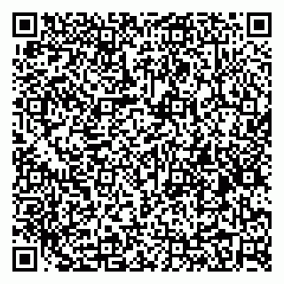 vCard 79031999804