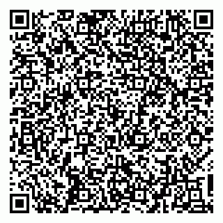 vCard 79031999807