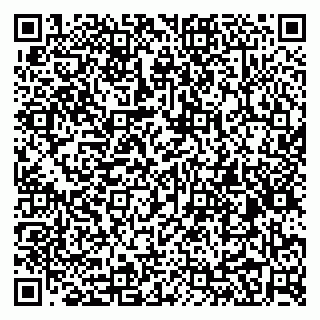 vCard 79031999813