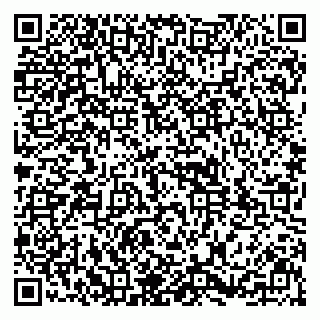 vCard 79031999817