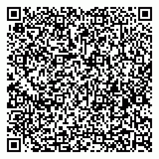vCard 79031999871