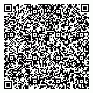 vCard 79031999874