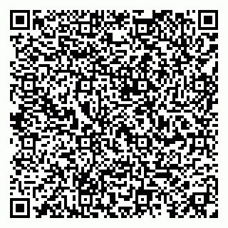 vCard 79031999883