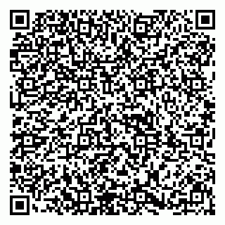 vCard 79031999987