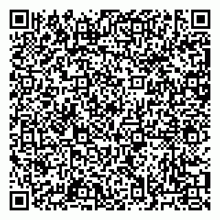 vCard 79033000021