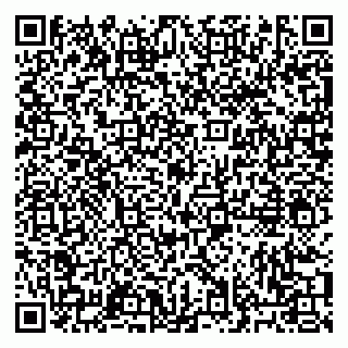 vCard 79033000081