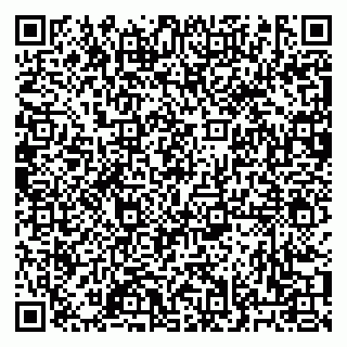 vCard 79033000131