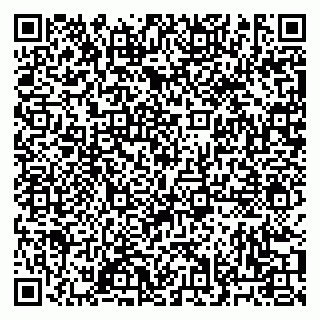 vCard 79033000181