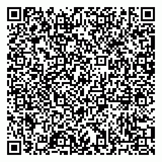 vCard 79033000215