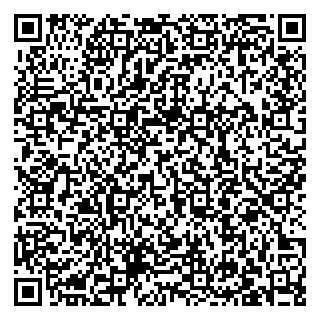 vCard 79033000251