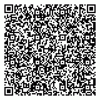 vCard 79033000275