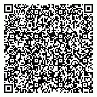 vCard 79033000311