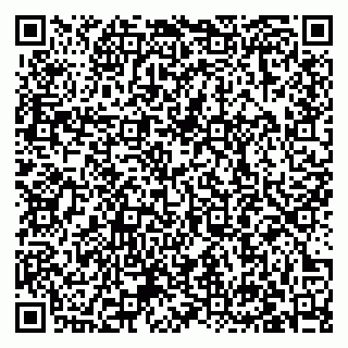 vCard 79033000318