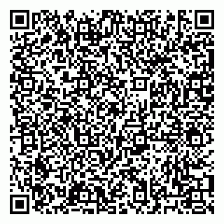 vCard 79033000350